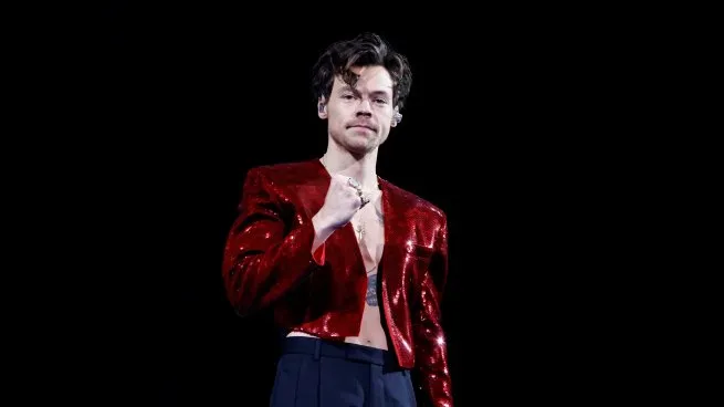 Lo nuevo de Harry Styles llega a Netflix.
