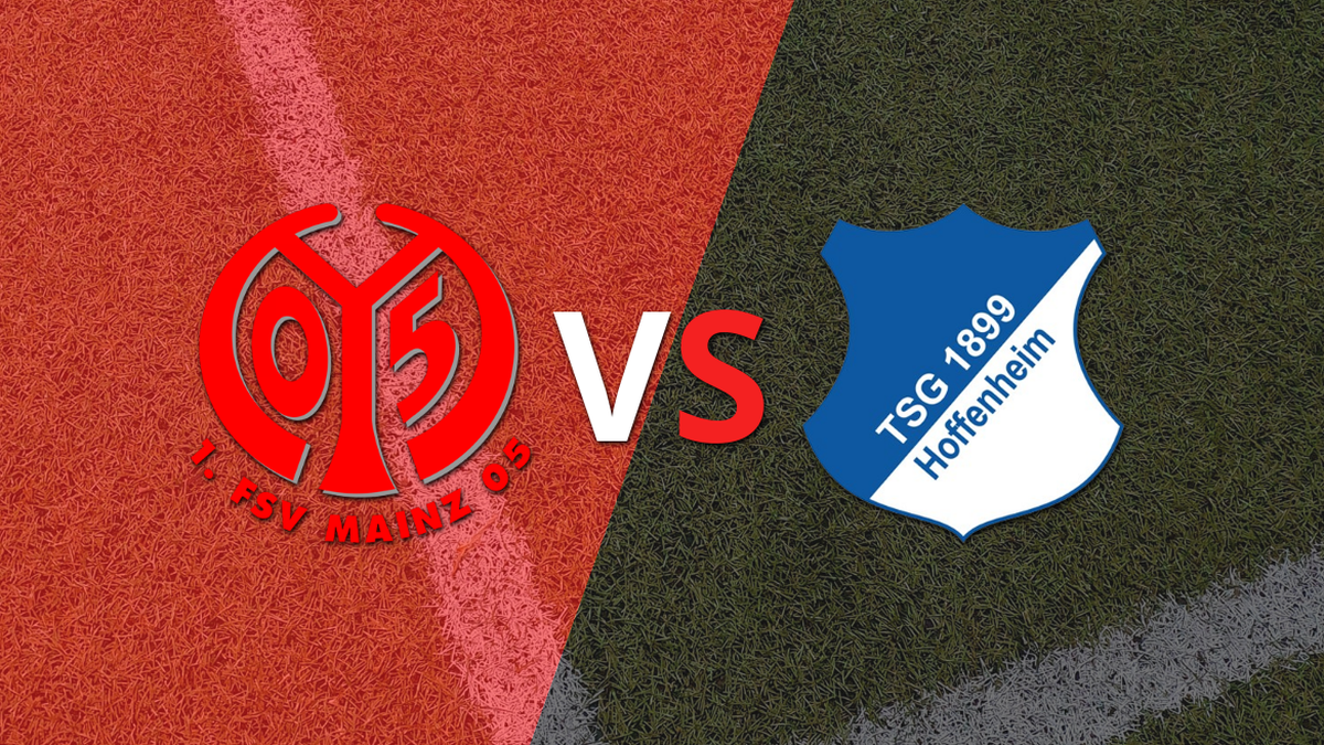 Mainz and Hoffenheim meet on date 29