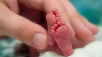 semana internacional del prematuro: que deben tener en cuenta padres y madres