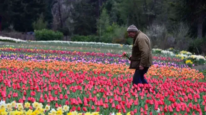 El turismo y una alternativa única en Bariloche, que ofrece un paisaje que enamora a todos sus visitantes.