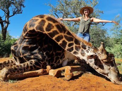 Aberrante y repudiable: una mujer mató una jirafa y posó con corazón del  animal muerto para la foto