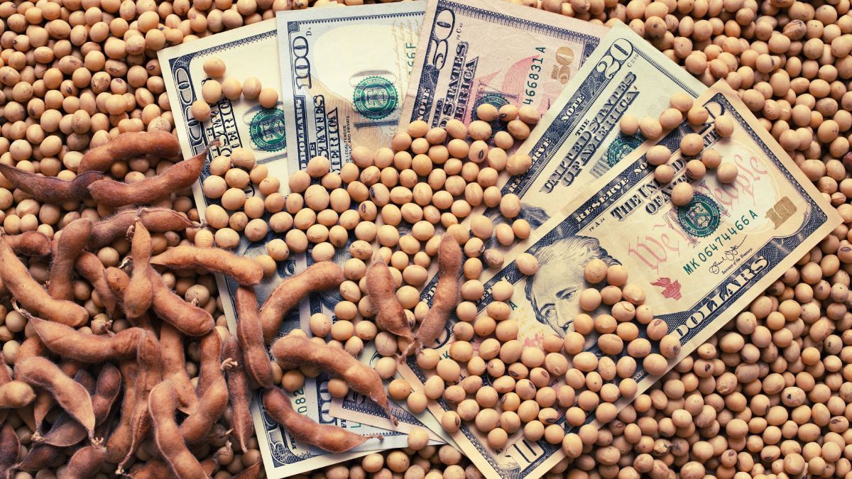 Wheat fell to three-month lows, while soybeans hit 3-week lows
