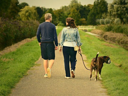 Los beneficios de tener un perro también inciden en la salud