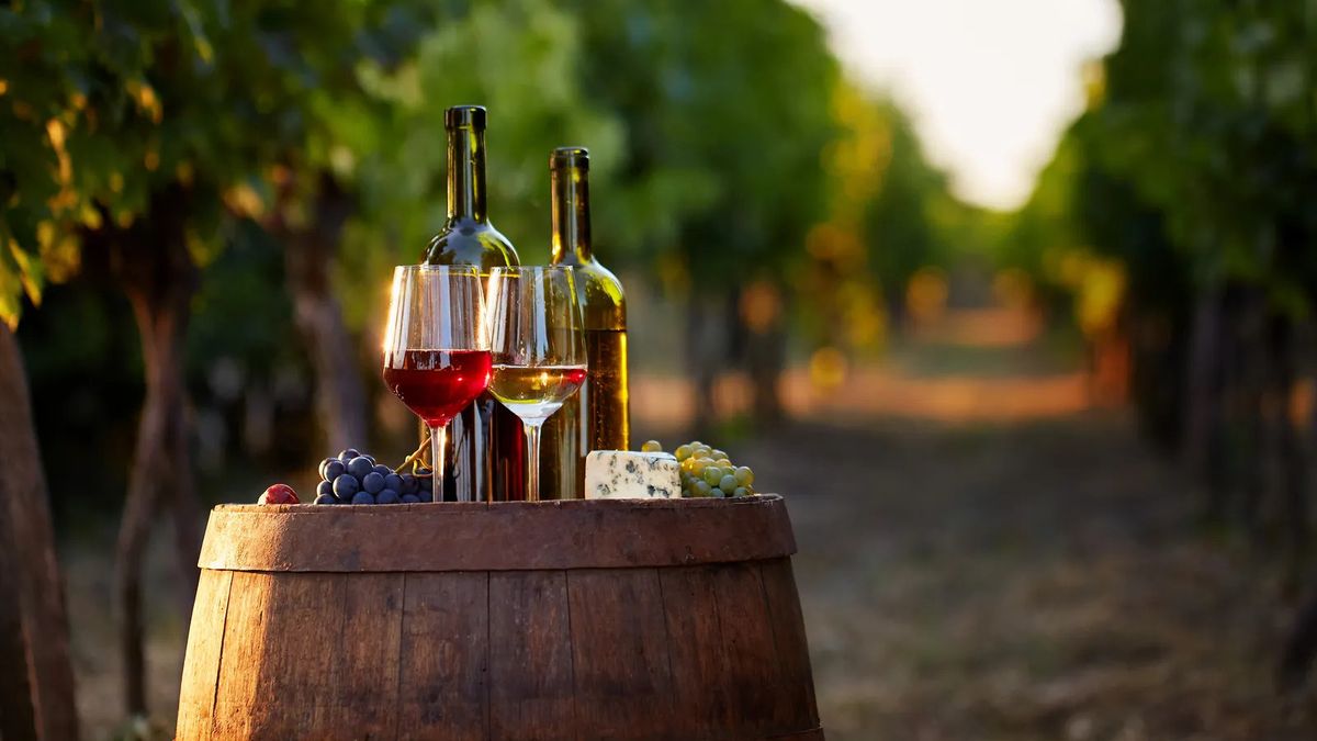 Sustainable wines, the program that aspires to position Uruguay in the world market