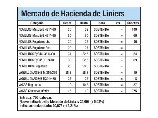 Mercado de Liniers: Novillo subió 5,8%