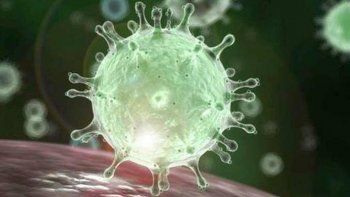 El nombre nace de un acrónimo en inglés a partir de la expresión corona&nbsp;virus&nbsp;disease (enfermedad de coronavirus) y será un estándar para eventuales brotes de coronavirus en el futuro.