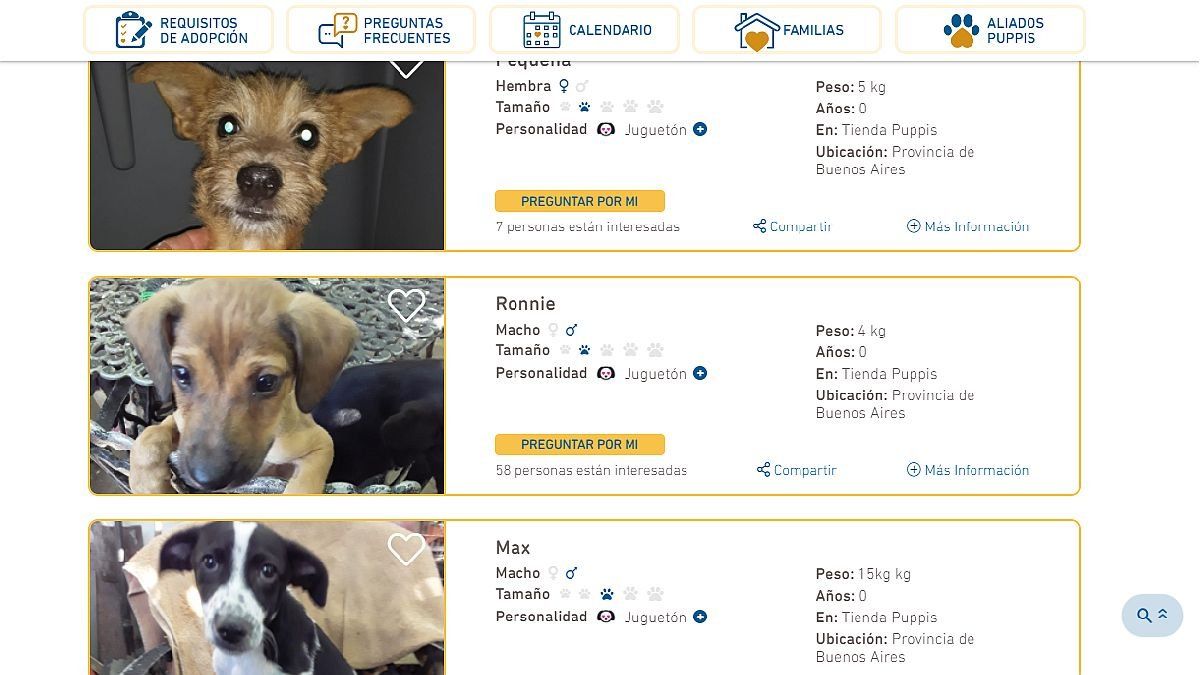 What to consider when adopting a pet