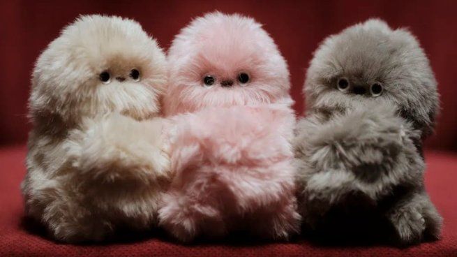 Un gesto mínimo basta para que este diminuto compañero transforme cualquier mochila en una historia en movimiento.