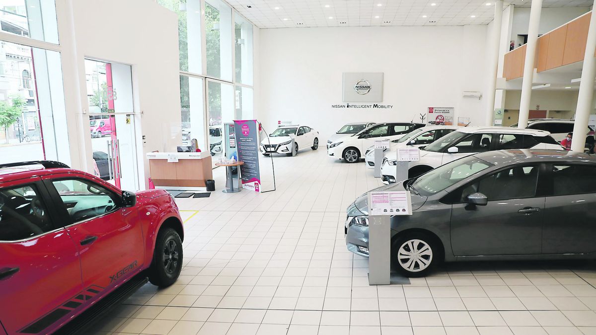 Sales rise despite limited stock