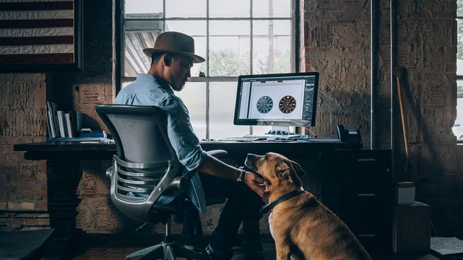 Los perros son una gran compañía para quienes trabajan desde casa.&nbsp;
