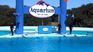 Aquarium Mar del Plata llegó a tener más de 180 animales. Cerró sus puertas en marzo del año pasado. 