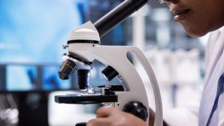 Este microscopio cambiará el trabajo de los científicos para siempre. Este microscopio cambiará el trabajo de los científicos para siempre.