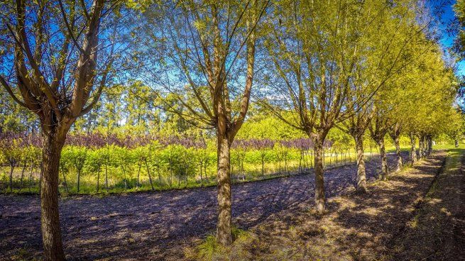 Uno de los pueblos más pintorescos y naturales de la provincia de Buenos Aires.