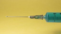 La vacuna china contra el coronavirus mostr&oacute; resultados prometedores en macacos.&nbsp;