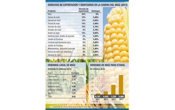 ámbito.com | Diversificación, una clave para salvar al maíz