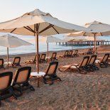 Todas las opciones para disfrutar el verano en la playa. Todas las opciones para disfrutar el verano en la playa.