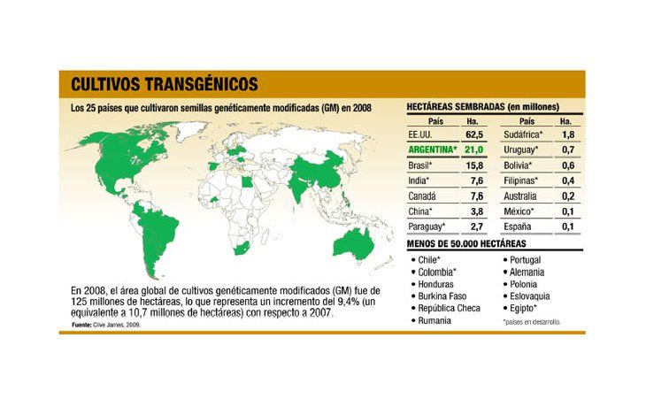 Cosecha récord de transgénicos