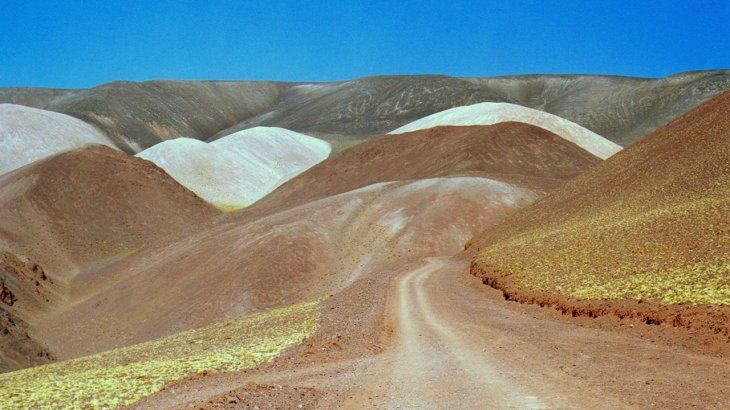 Reserva Natural Laguna Brava, en La Rioja. Reserva Natural Laguna Brava, en La Rioja.