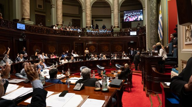 El Senado votó las venias de cargos en empresas públicas.