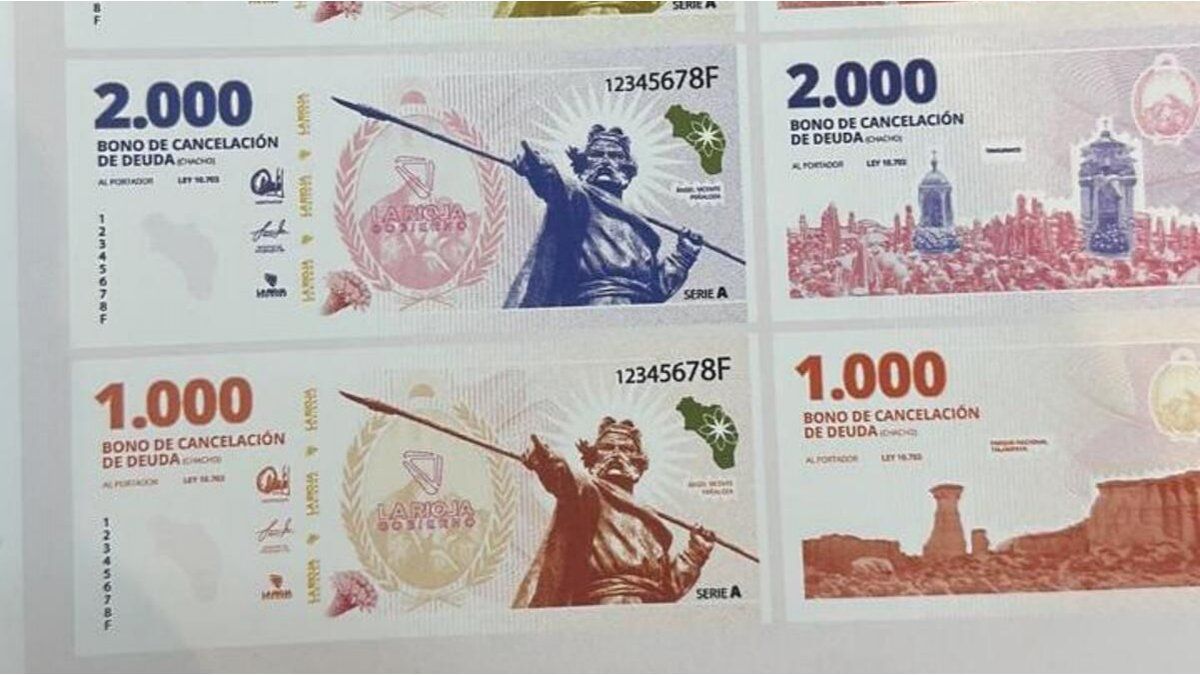 This is the BOCADE of La Rioja, the first quasi-currency of the Javier Milei era This is the BOCADE of La Rioja, the first quasi-currency of the Javier Milei era