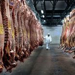 La faena del primer trimestre cayó a su nivel más bajo en seis años, exceptuando el período excepcional de la pandemia en 2020. La faena del primer trimestre cayó a su nivel más bajo en seis años, exceptuando el período excepcional de la pandemia en 2020.