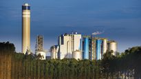 La compañía brasileña Suzano es la mayor productor de celulosa del mundo.