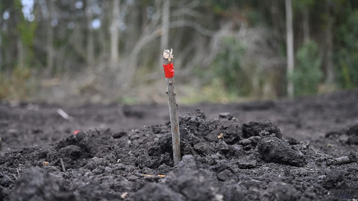 The remains found in Battalion 14 will be sent to Argentina for analysis