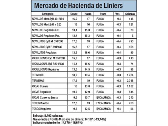 Fuerte caída del valor de los novillos