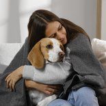 La mejor manera de cuidar a tus mascotas en el hogar. La mejor manera de cuidar a tus mascotas en el hogar.