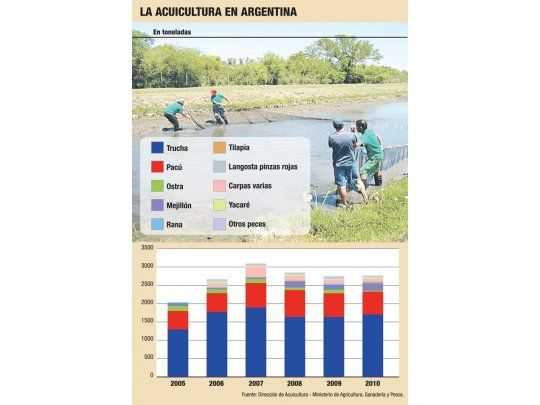 En el NEA, los ganaderos también producen pescado