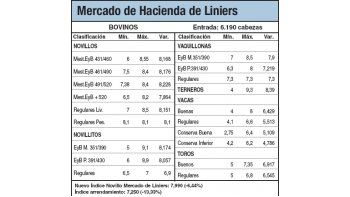 Bajas del 6,4% por abundante oferta