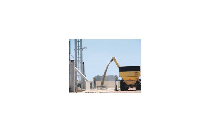 China aceleraría sus compras de granos de soja pero, al mismo tiempo, reduciría sus importaciones de aceites, entre otras cosas por la huelga que afectó la provisión del aceite de soja argentino.