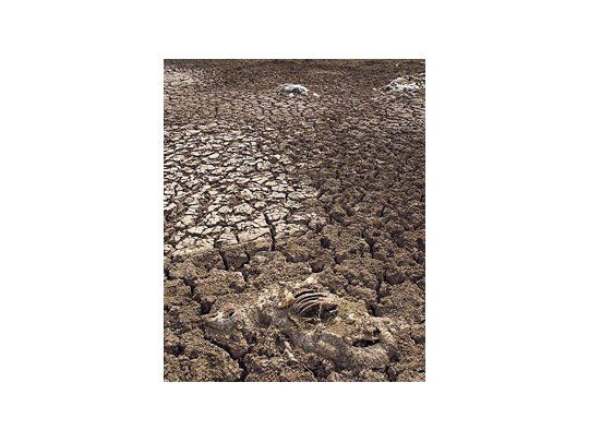 En el sudeste bonaerense piden al menos 80 milímetros de lluvias para iniciar el implante. Pero no habría precipitaciones hasta fines de este mes.