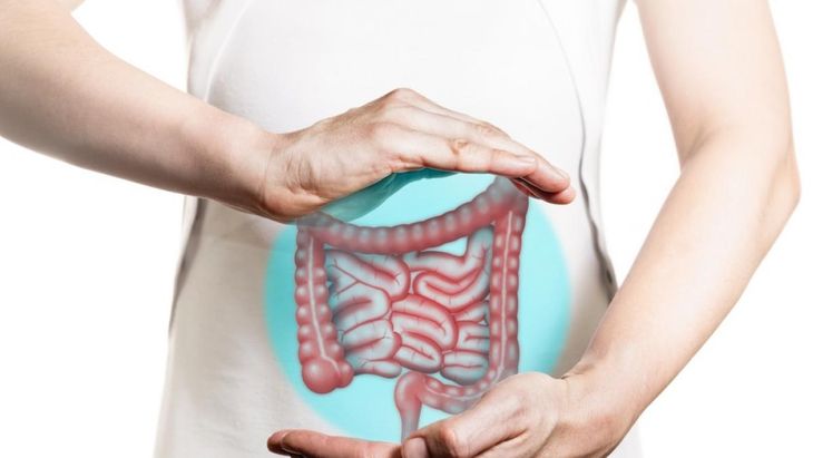 30 de marzo, Día Mundial del Cáncer de Colon. 30 de marzo, Día Mundial del Cáncer de Colon.