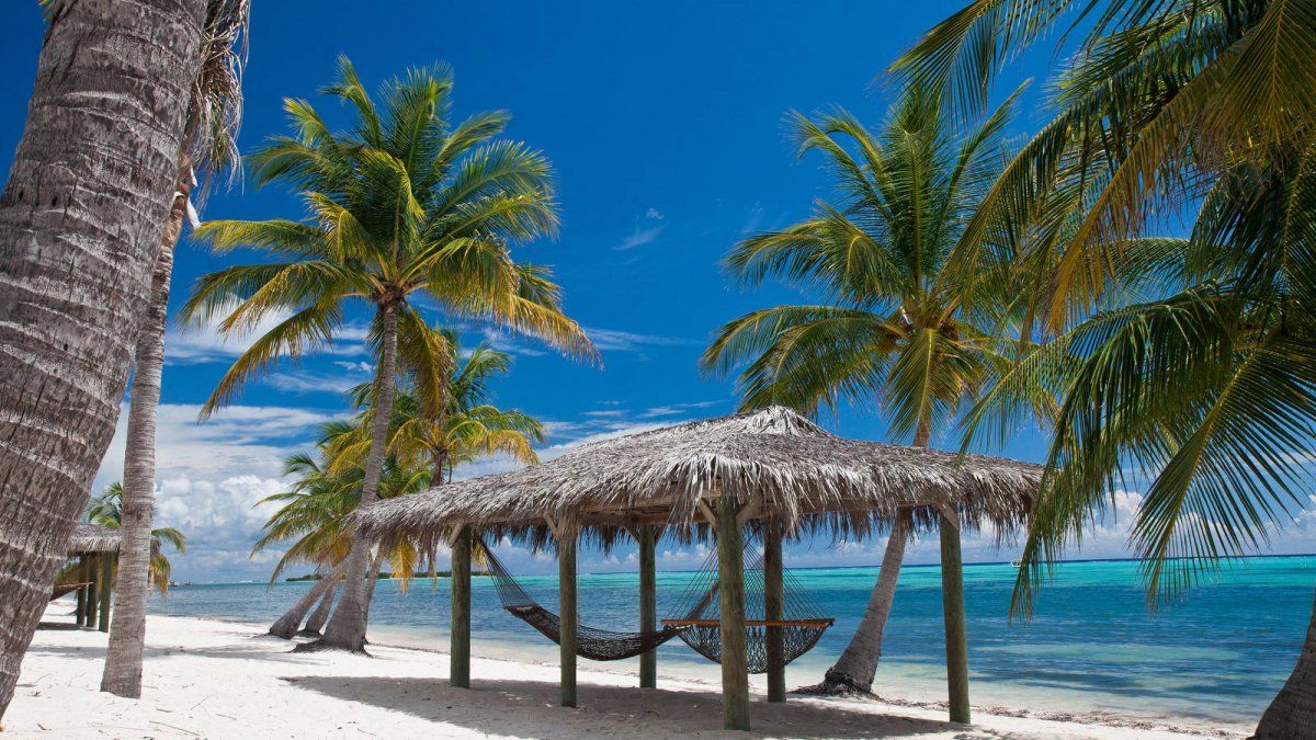Cayman Islands: the paradisiacal destination that is one of the most sought after in the Caribbean