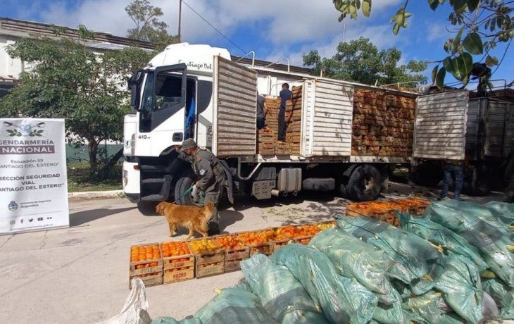 Detienen a un hombre que trasladaba 15 kilos de cocaína en Santiago del Estero