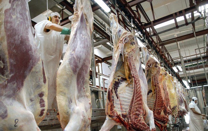 Faltando sólo dos meses para finalizar el año, es posible proyectar un volumen de exportaciones anuales superior a las 800 mil toneladas,&nbsp;indicó el Rosgan.