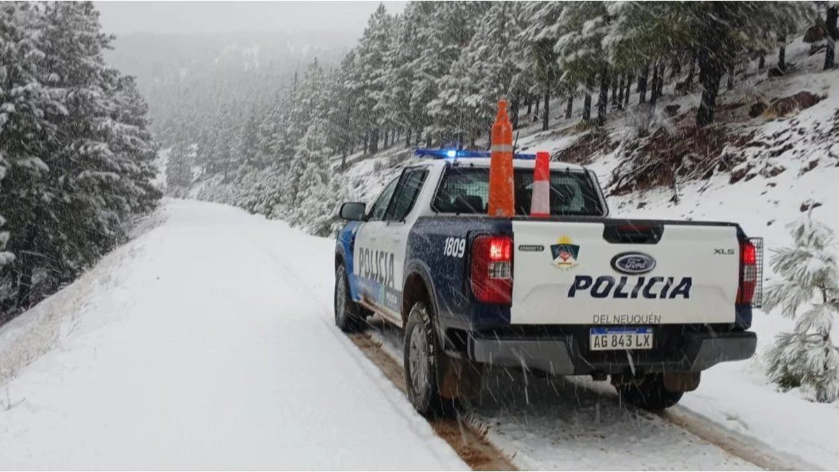 Encontraron en una chanchería de Neuquén el cuerpo de un hombre que estaba desaparecido
