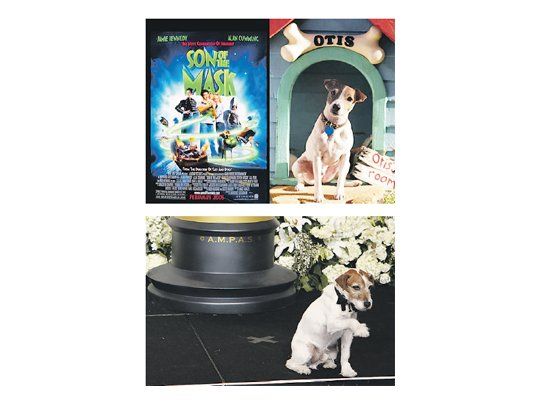 Los actores «Milo» y «Uggie». Uno protagonizó «La máscara» hace varios años, y el otro ganó el Oscar el domingo por «El artista».
