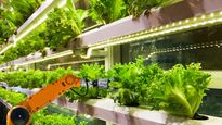startup argentina que evita putrefaccion de frutas se consagro en competencia global de santander