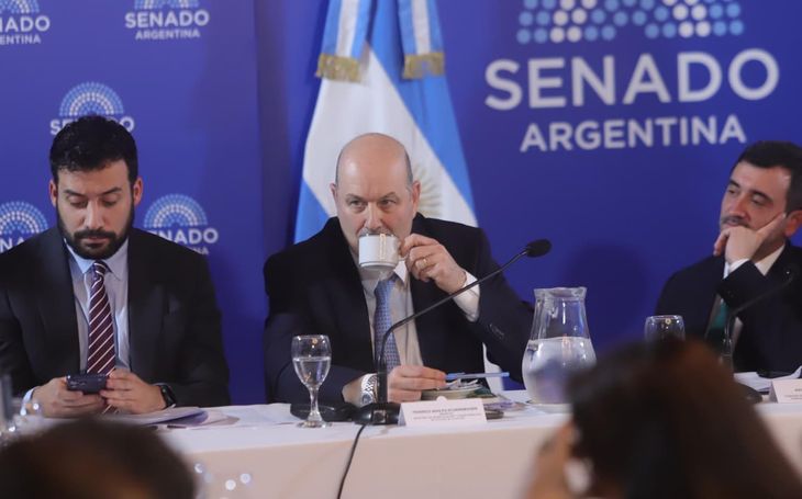 Federico Sturzenegger defendió el proyecto del Gobierno en el Senado. Federico Sturzenegger defendió el proyecto del Gobierno en el Senado.