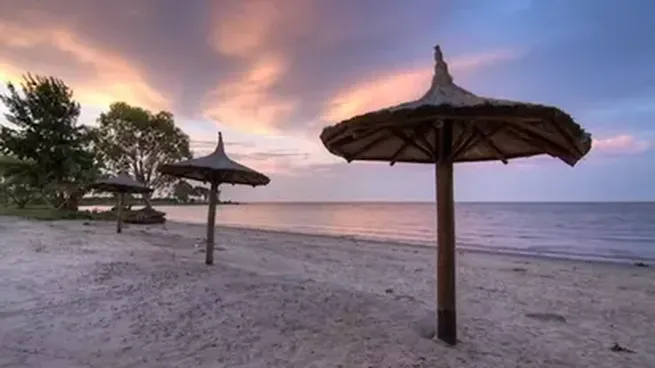 A orillas del Río de La Plata, Punta Indio sobresale por su belleza natural.