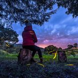 Visita las cabañas de Tlaxcala que tienen un bosque que se ilumina solo y puedes quedarte a dormir en él Visita las cabañas de Tlaxcala que tienen un bosque que se ilumina solo y puedes quedarte a dormir en él