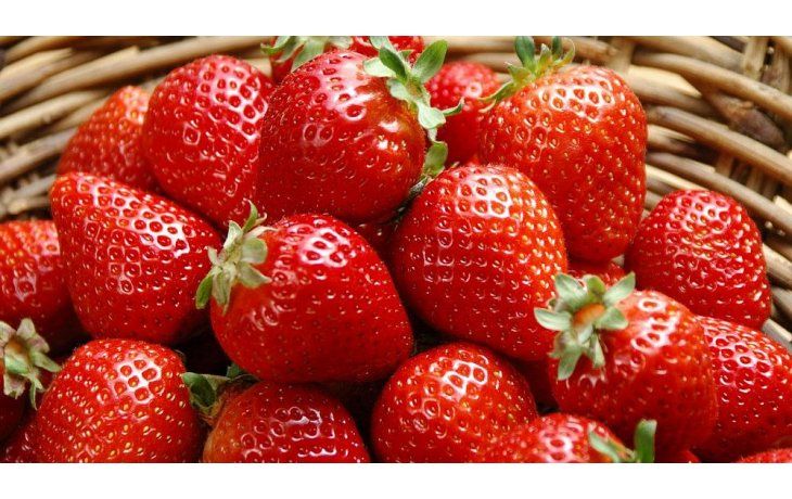 Las frutillas son muy fáciles de cultivar.