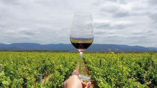 Vinos, bodegas, montañas, agua y naturaleza son el resumen de los atractivos que reúne Mendoza y que atraen a quienes eligen vacacionar en esta provincia Vinos, bodegas, montañas, agua y naturaleza son el resumen de los atractivos que reúne Mendoza y que atraen a quienes eligen vacacionar en esta provincia