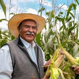 Producción para el Bienestar prepara los depósitos. Producción para el Bienestar prepara los depósitos.