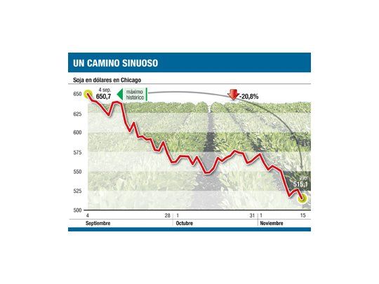 Soja cayó otro 1,2% y en dos meses acumula casi un 21%