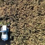 Proyecciones indician que la soja podría alcanzar una producción superior a los 50 millones de toneladas. Proyecciones indician que la soja podría alcanzar una producción superior a los 50 millones de toneladas.