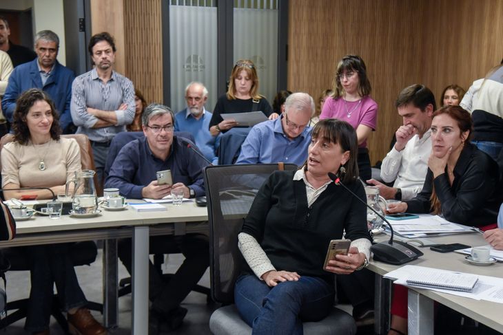 Romina del Plá en la reunión de la Comisión de Diputados.