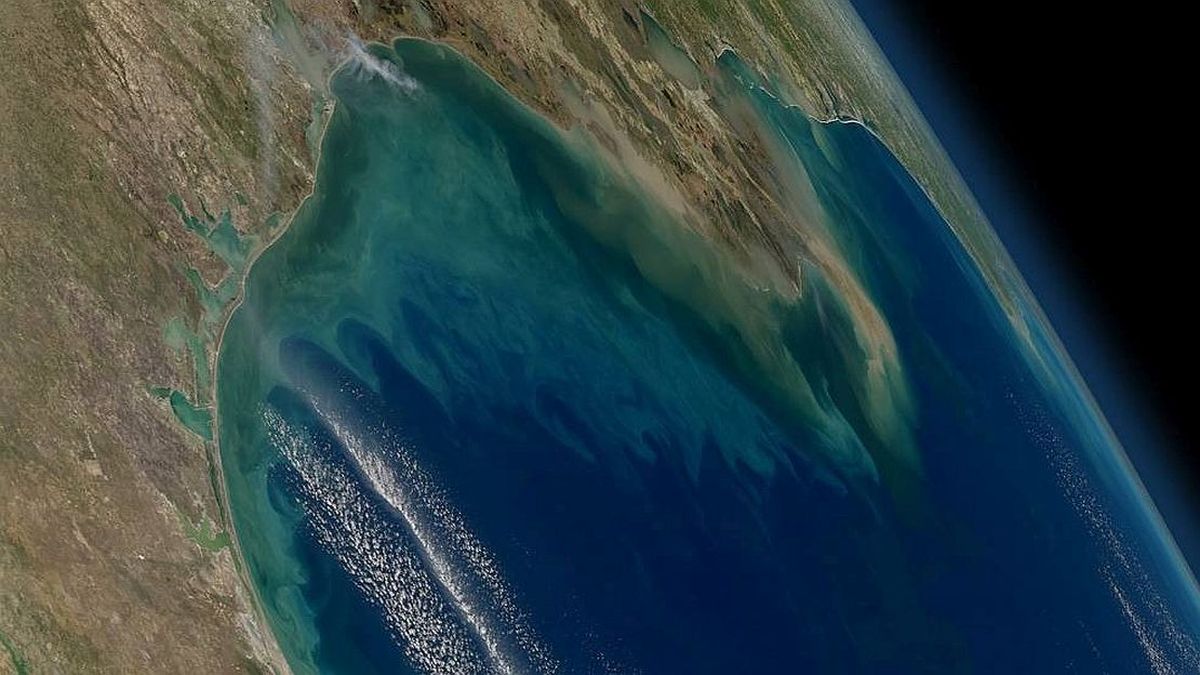 Ocean acidification raises alarm: it has surpassed a new threshold that puts the planet at risk